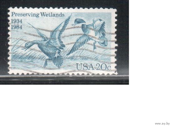 США-1984, (Мих.1707) , гаш.,  Фауна, Птицы, Утки (одиночка),