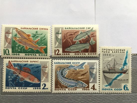 СССР 1966 год. Промысловые рыбы Байкала (серия из 5 марок)