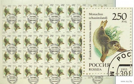4. Марки России сцепка 50 штук "Гавайский тюлень" 1993 год