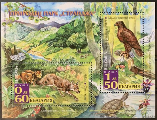 Болгария 2008. Фауна. Природный парк. Орел, шакал, черепаха блок (4860)