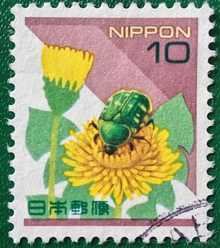 Япония. Одуванчик. Жук