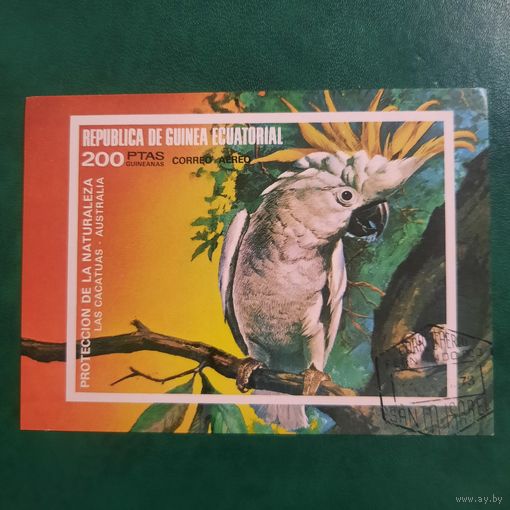 Экваториальная Гвинея 1973. Фауна. Попугаи. Блок