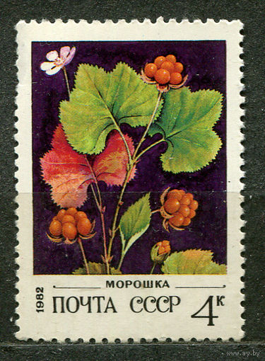 Флора. Ягоды. Морошка. 1982. Чистая