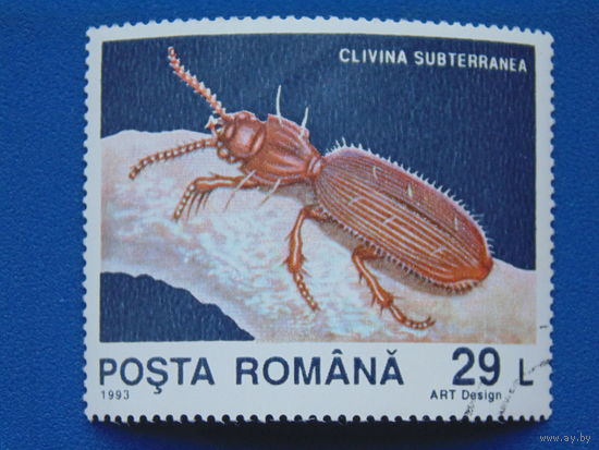 Румыния 1993 г. Жук.