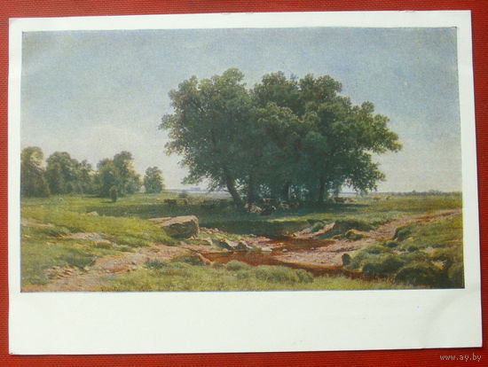 Шишкин. Дубки. Чистая. 1959 года. 1004.