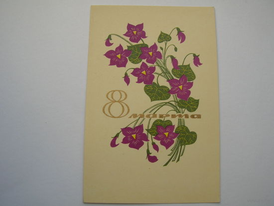 8 Марта 1967 год Елагина Т. чистая