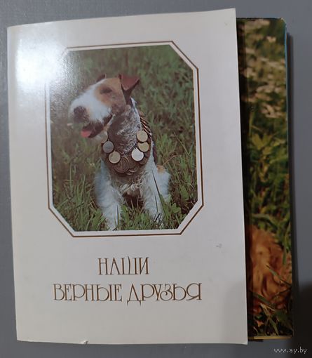 Наши верные друзья. Собаки. Набор открыток, 20 штук. 1987г.