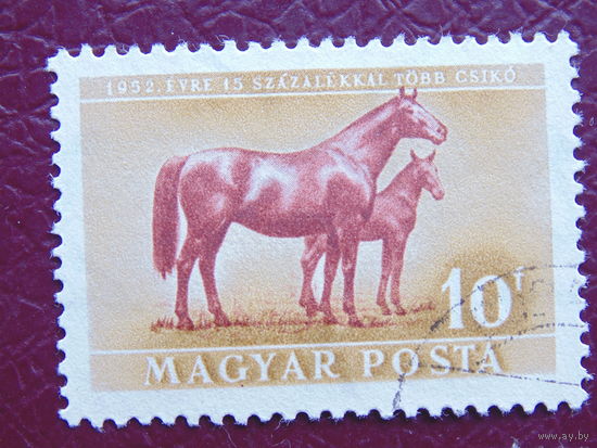 Венгрия 1952 г. Фауна.