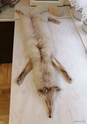 Шкурка, мех Писец (?)