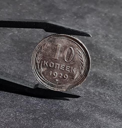 10 копеек 1929 года патина