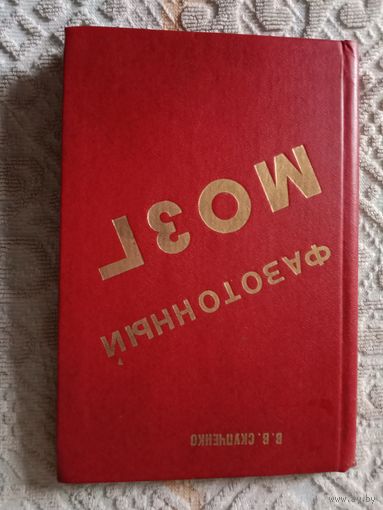 Виталий Скупченко Фазотонный мозг Монография