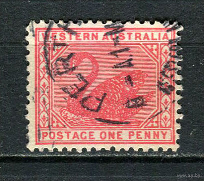 Западная Австралия (штат) - 1902/1911 - Лебедь 1Р - [Mi.49a] - 1 марка. Гашеная.  (Лот 12HW)-TG3P20
