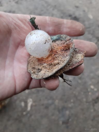 Лот по вермахту.