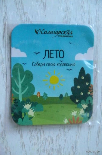 Магнит, 2024; ЛЕТО, Солигорская птицефабрика (месяцы и времена года).