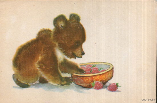 Чистая открытка 1968г. "Медвежонок" худ. Л. Гамбургер