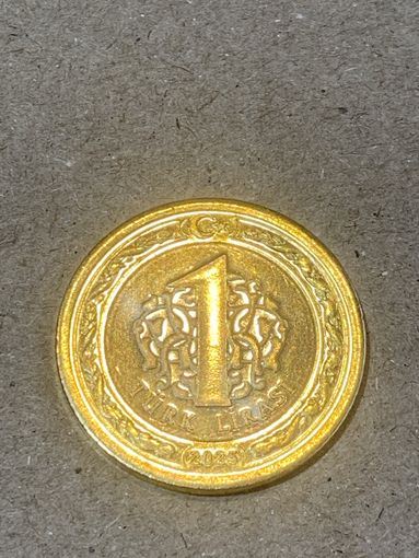 Турция 1 лира 2024 г