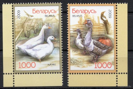 Беларусь 2009. Домашние птицы. Утки, гуси (464)