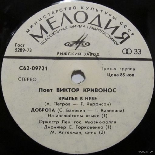 Поёт Виктор Кривонос (Крылья в небе) (7'')
