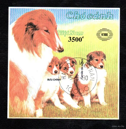 Собаки Вьетнам 1990 год б/з блок