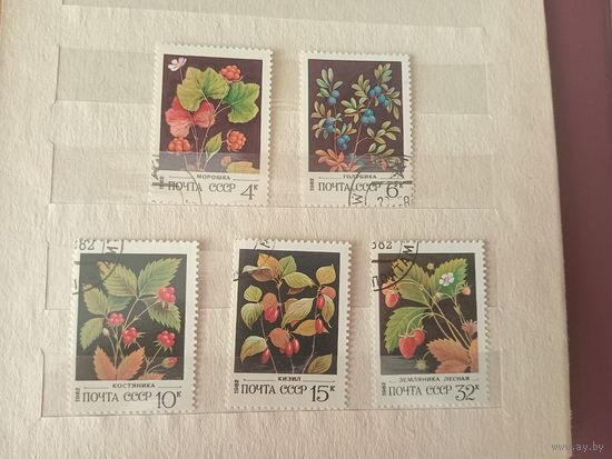 СССР 1982 Флора Дикорастущие ягоды гашеные