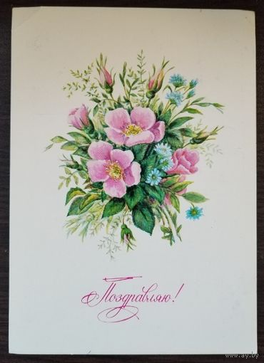 Открытка Поздравляю, 1984 г, чистая