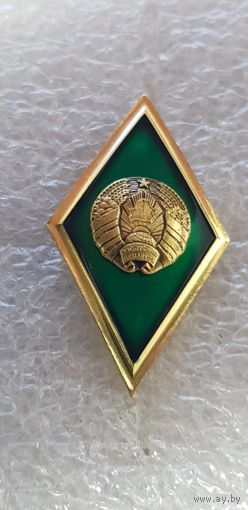 Ромб высшее гумманитарное образование Беларусь*