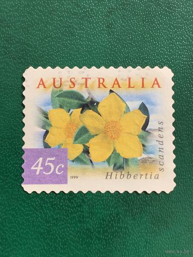 Австралия 1999. Флора. Цветы. Hibbertia scandens