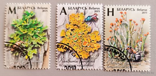Лишайники Беларуси. Полная серия, 2019