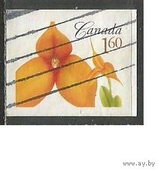 Канада. Цветы. 2007г. Mi#2446.