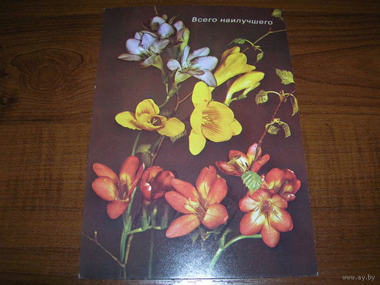 Цветы Композиция Всего наилучшего Польша 1970-80е чистая