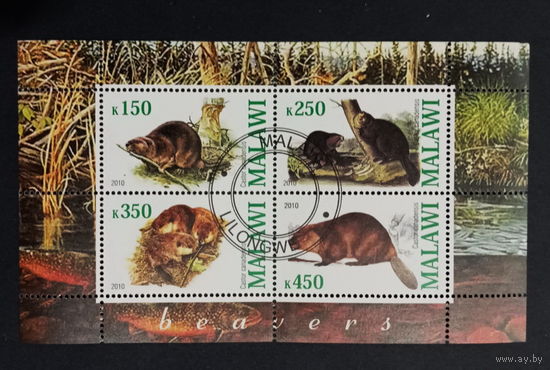 ЛИСТ ФАУНА животные  СТО