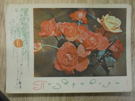 ПОДПИСАННАЯ ОТКРЫТКА СССР. "ПОЗДРАВЛЯЮ".худ. И. ФИЛИППОВ. фото А. ГЕОДАКОВА 1969 год
