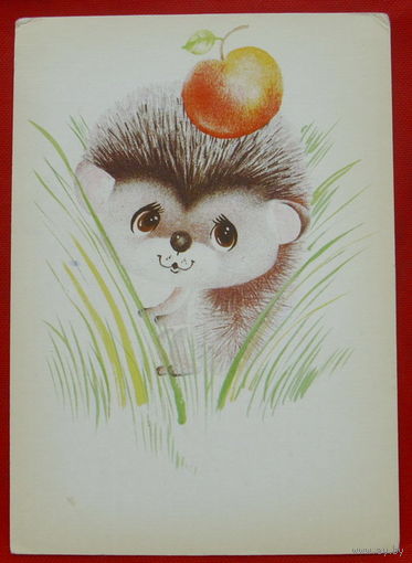 Ёжик. Чистая. 1989 года. Бугаева. 309.