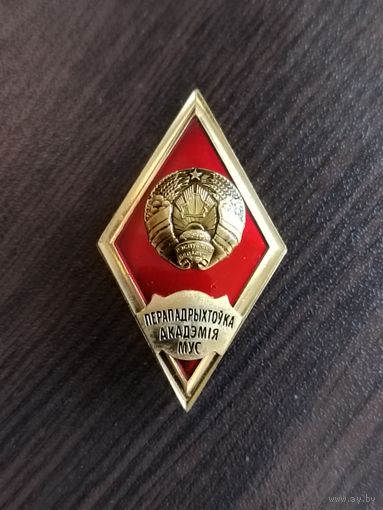 Академия МВД