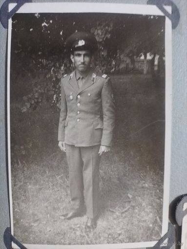 Фото в коллекцию