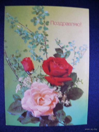 Фото Дергилева И., Поздравляю! 1990, чистая.