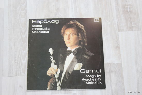 Виниловая пластинка, верблюд, песни Вячеслава Малежика, группа "Саквояж".