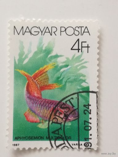 Венгрия 1987. Рыбки