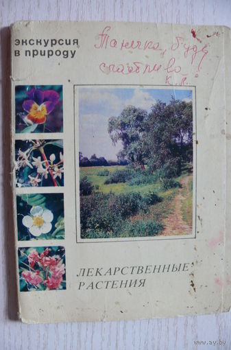 Комплект, Лекарственные растения; 1977 (17 из 25 шт., 10*15 см).