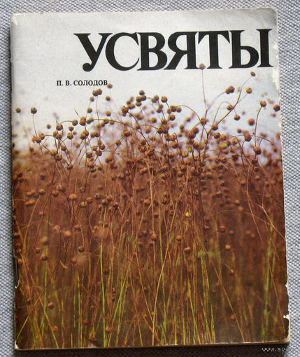 История путешествий: Усвяты. Псковская область.
