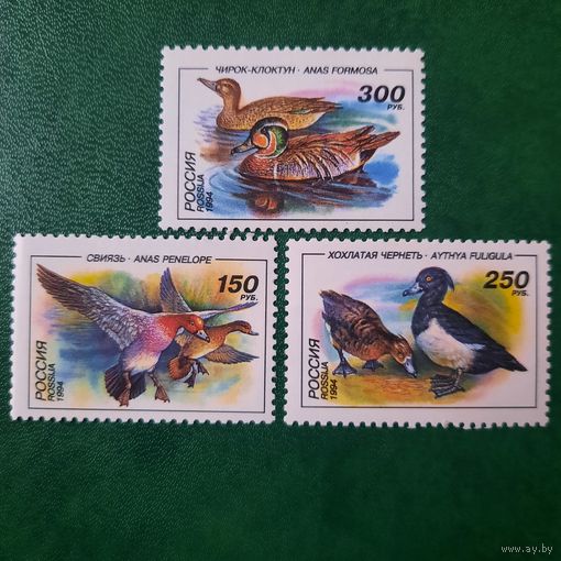 Россия 1994. Фауна. Птицы. Утки. Полная серия