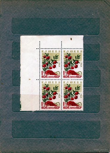 СССР, 1964,  ЯГОДЫ,**  1м в, /блок, чистая  цена за кварт