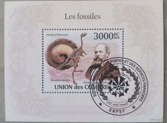 Коморы. 2009г. Динозавры.