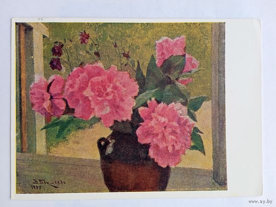 1958. цветы. Бакшеев. Пионы