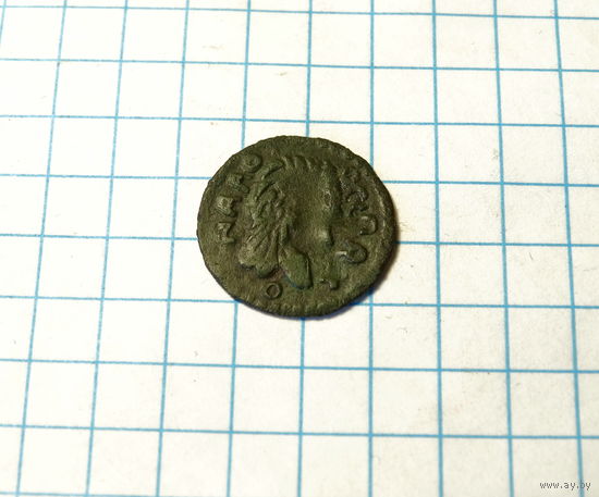 Боратинка, фальшак.