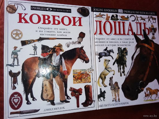 "Ковбои" серия "Очевидец"