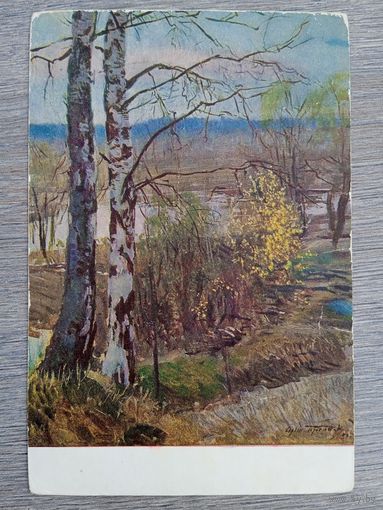 1952. Герасимов С. Ива цветет