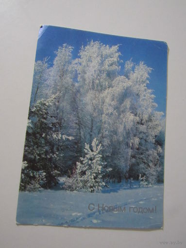 С Новым годом! Фото В. Дорожинского 1990