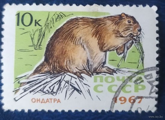 СССР 1967 пушные звери 1 и 7.