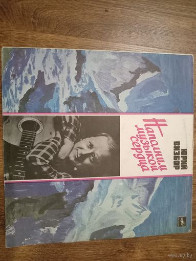 Виниловая пластинка